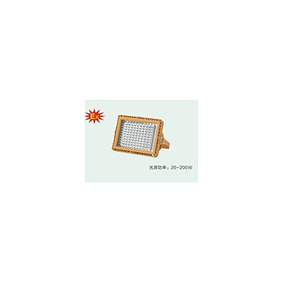 防爆免維護(hù)LED泛光燈